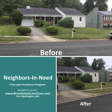Yard_Before_After